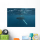 Underwater View Of A Humpback Whale In The Atlantic Ocean Wall Mural