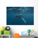 Underwater View Of A Humpback Whale In The Atlantic Ocean Wall Mural