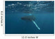 Underwater View Of A Humpback Whale In The Atlantic Ocean Wall Mural