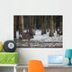 Sika Deer Lat Cervus Wall Mural