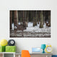 Sika Deer Lat Cervus Wall Mural