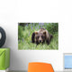 Captive Wall Mural