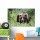 Captive Wall Mural