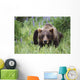 Captive Wall Mural