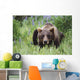 Captive Wall Mural