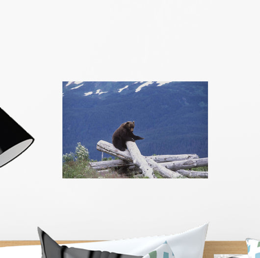 Captive Wall Mural