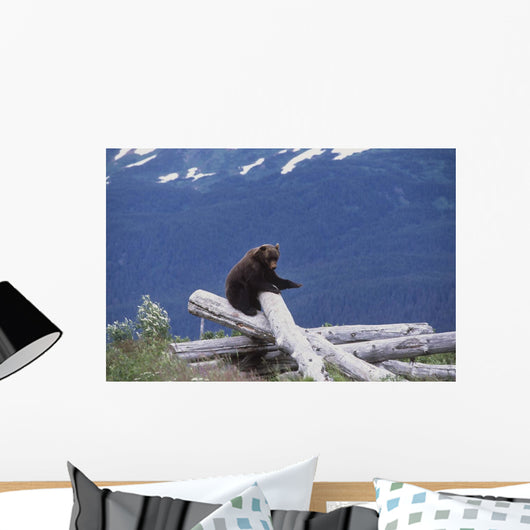 Captive Wall Mural
