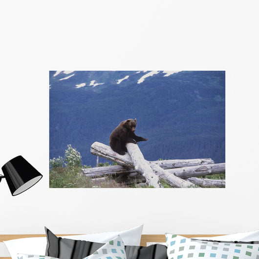Captive Wall Mural