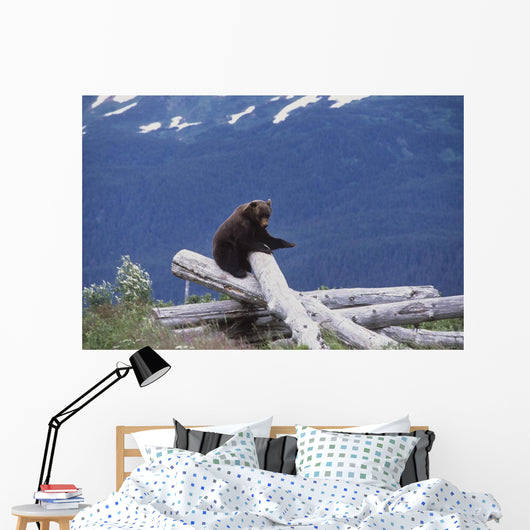 Captive Wall Mural