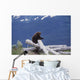 Captive Wall Mural
