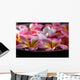 Bowl Plumeria Flowers