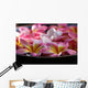 Bowl Plumeria Flowers