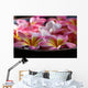 Bowl Plumeria Flowers