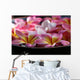 Bowl Plumeria Flowers