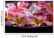 Bowl Plumeria Flowers