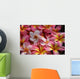 pink plumeria flowers Wall Mural