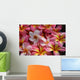 pink plumeria flowers Wall Mural
