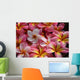 pink plumeria flowers Wall Mural