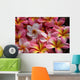 pink plumeria flowers Wall Mural