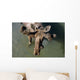 Overlooking View Of Bull Moose Wall Mural