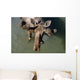 Overlooking View Of Bull Moose Wall Mural