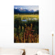 Autumn Landscape Along The Turnagain Arm Near Girdwood, Alaska Wall Mural