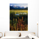 Autumn Landscape Along The Turnagain Arm Near Girdwood, Alaska Wall Mural