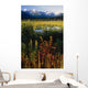 Autumn Landscape Along The Turnagain Arm Near Girdwood, Alaska Wall Mural