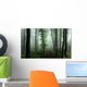 Spooky Foggy Forest Wall Decal