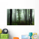 Spooky Foggy Forest Wall Decal
