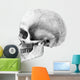 Human Skull Side Pencil Wall Decal