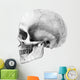 Human Skull Side Pencil Wall Decal