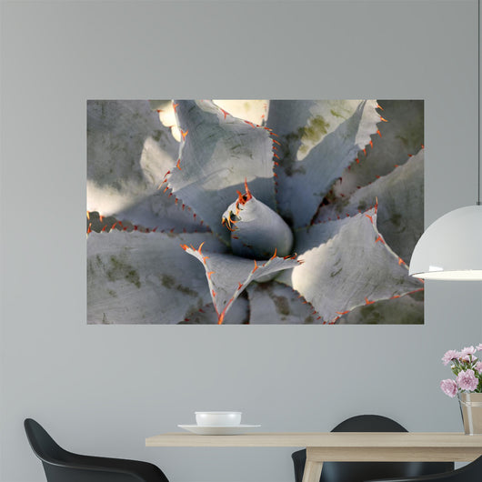Agave Wall Decal