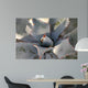 Agave Wall Decal