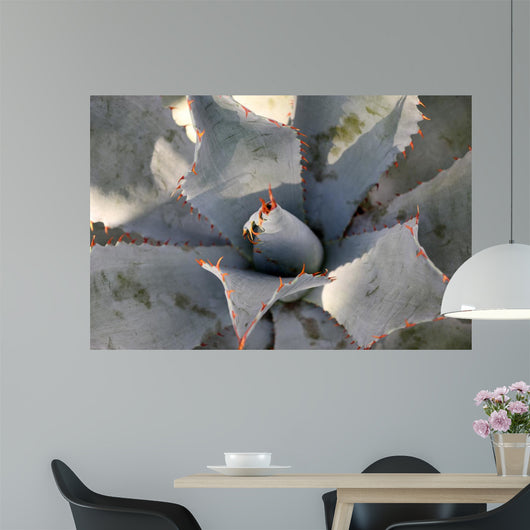 Agave Wall Decal