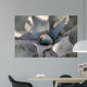 Agave Wall Decal