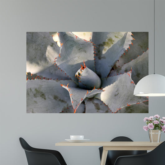 Agave Wall Decal