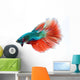 Halfmoon Betta Fighting Fish Wall Decal