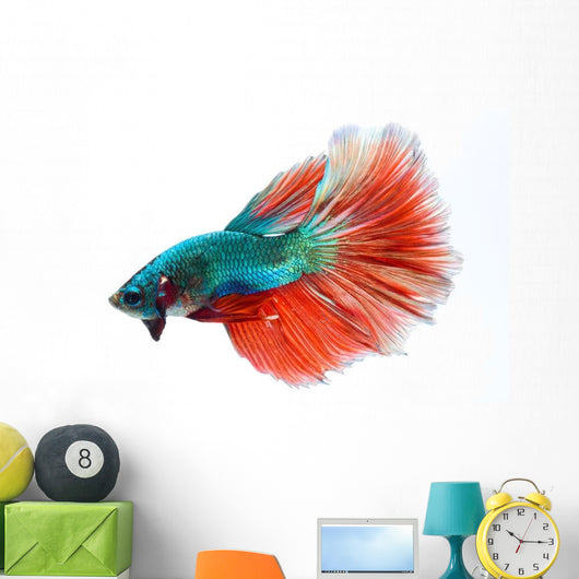 Halfmoon Betta Fighting Fish Wall Decal
