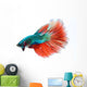 Halfmoon Betta Fighting Fish Wall Decal