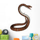 Snake Wall Decal
