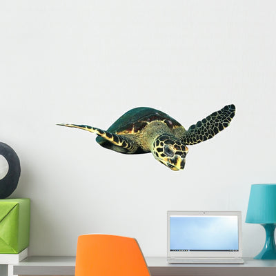 Hawksbill Sea Turtle Swimming Wall Decal shown on a wall