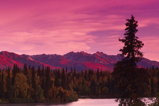 Sunrise Byers Lake Alaska Range Fall Southcentral Ak Wall Mural