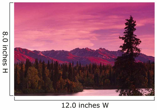 Sunrise Byers Lake Alaska Range Fall Southcentral Ak Wall Mural