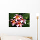 Red Plumeria Wall Mural