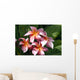 Red Plumeria Wall Mural