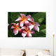 Red Plumeria Wall Mural