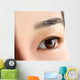 Woman's Brown Eye Wall Mural