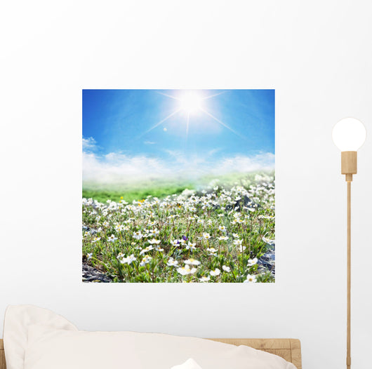 Meadow