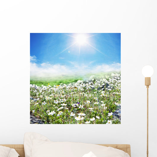 Meadow